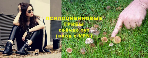 прущие грибы Карпинск
