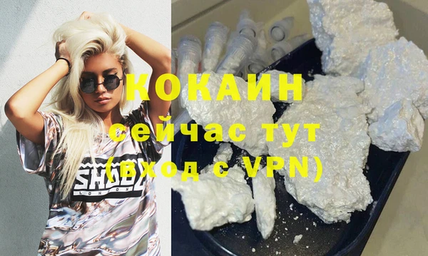 прущие грибы Карпинск