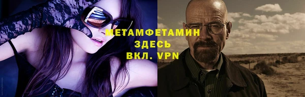 прущие грибы Карпинск