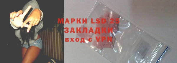 прущие грибы Карпинск