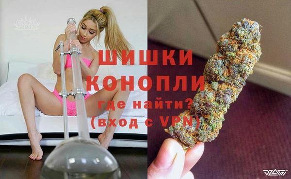 прущие грибы Карпинск