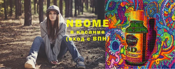 прущие грибы Карпинск