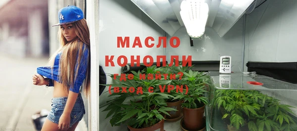 гидра Каменногорск